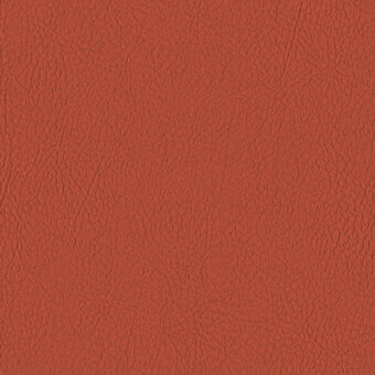 NECTARINE 107-6003