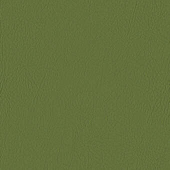 OLIVE 107-5001
