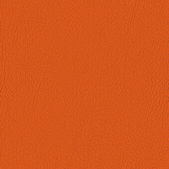 ORANGE 107-6019