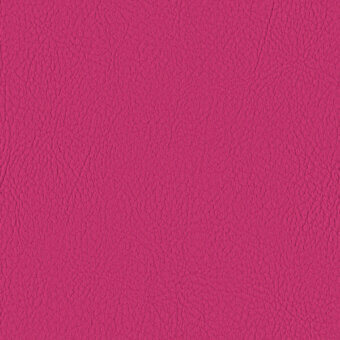 PINK 107-2021
