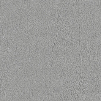 SILVER 107-4020