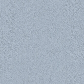 SKYLIGHT 107-2107