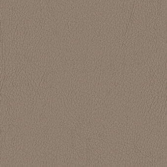 TAUPE 107-0034