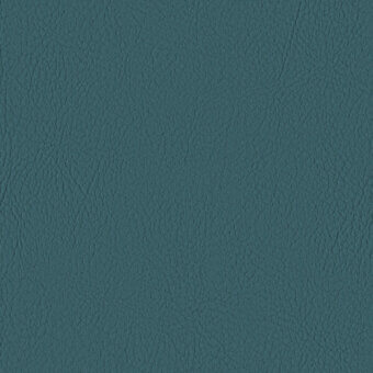 TEAL 107-2119