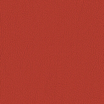 TOMATO 107-2112