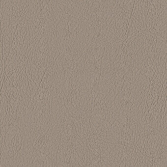 WARM GREY 107-4044