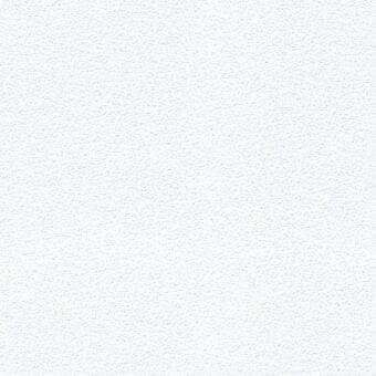 White textured fabric, granular weave with subtle sheen, evenly lit close-up; lacividina xtreme ys165 fabric detail.