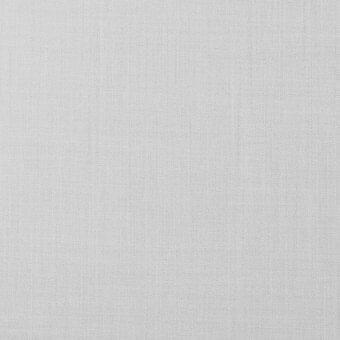 Light gray woven fabric with a subtle grid pattern, dense matte texture, neutral tone, suitable for upholstery or drapery, lacividina fabric (a) 4050.