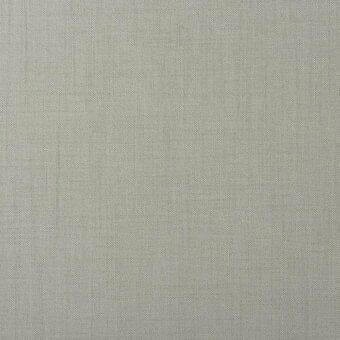 Light gray woven fabric displaying a consistent matte texture and subtle vertical grain, with a dense plain weave and diffused lighting.