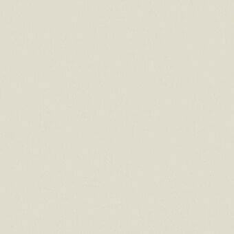 Beige fabric swatch displaying a granular woven texture, consistent warm tone, and subtle surface roughness; brand text present.