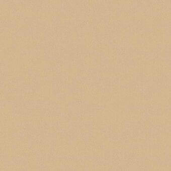 Beige seamless texture with a matte finish and granular surface, displaying a consistent, neutral tone reminiscent of sand or light clay.