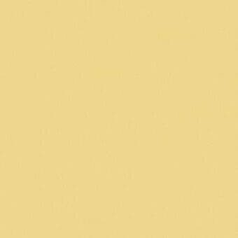 Matte yellow surface with granular texture, presenting a solid, uniform color resembling pale mustard or muted gold, lacking patterns or branding.