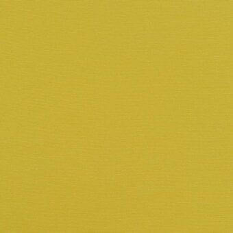 Fabric sample, avocado green, vertical rib texture; lacividina Silvertex avocado 122 2092 label visible, matte finish, consistent weave.
