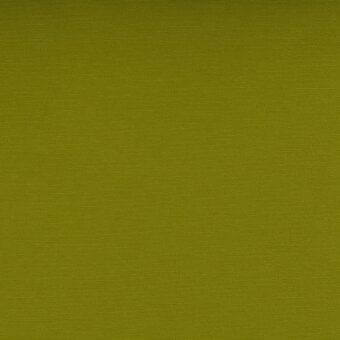 Olive green Silvertex fabric sample displays a uniform, matte texture with a grid pattern; Silverex Met 122 5008 from lacividina collection.