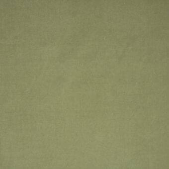 Olive-green fabric sample displaying a matte, woven texture with tonal variations and granular detail, presenting a natural, rustic aesthetic.