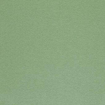 Lacividina fabric sample, sage green woven texture, matte finish, uniform surface with granular detail, product code f 1200 c0856.