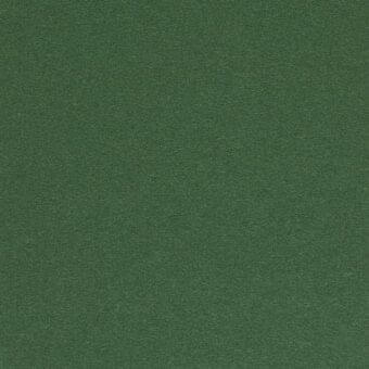 Green woven fabric texture with a granular surface and matte finish, suitable for upholstery or drapery applications.