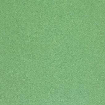 Textured green fabric sample displaying a granular woven texture and matte finish with consistent, diffused lighting throughout the composition.
