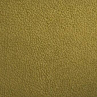 Golden-yellow leather texture with fine grain, slight gloss, and natural wrinkles; identified as lacividina imperial leather 0755.