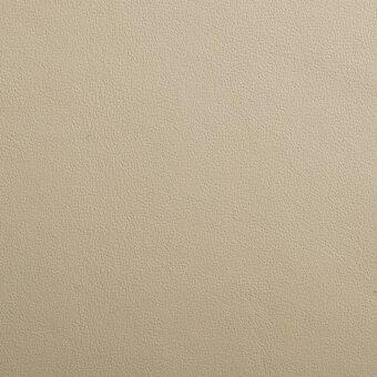 Beige leather texture with fine perforations, displaying a granular pattern and warm neutral tones; imperial leather sample 0504.