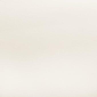 Pale off-white coated fabric texture displays subtle tonal gradient, identified as “lacividina leather (imperial) n040” swatch.