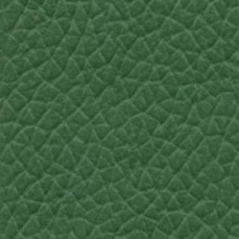 Dark green leather texture with a pebble-grain pattern, matte finish, and subtle tonal variations suggesting a durable, high-quality material.