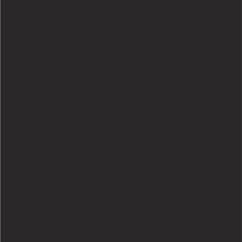 Solid nero pece pitch black rectangle, matte finish, uniform color field, monochromatic composition, simple geometric shape, dark gray tone.