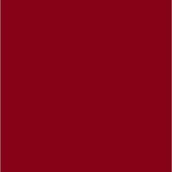 Red color swatch, metallic finish, matte texture, RAL 3003 signal red, lacividina metal, consistent flat color, simple composition.