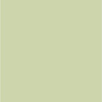 Desaturated green color swatch, “tè verde” tone, uniform flat surface, metallic finish inspired palette, isolated visual reference.