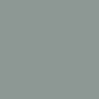Solid color background, muted gray-green tone, uniform and flat composition with even lighting and no visible texture or branding elements.