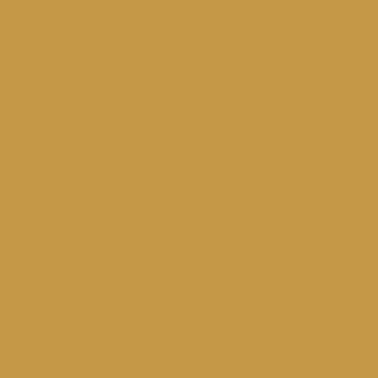 Ochre background, solid color, matte texture, uniform surface, warm earthy tone, smooth composition, consistent shade, digital rendering.