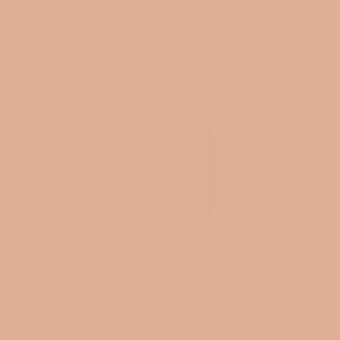 Pesca color background, matte peach tone, uniform solid surface, even color distribution, simple uncluttered composition, consistent visual field.