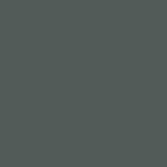 Dark gray-green color field, matte finish, uniform tone, solid background, neutral composition, muted palette, seamless color swatch, flat surface.