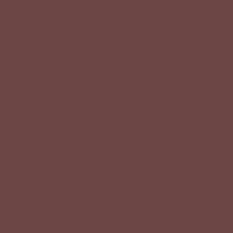 Reddish-brown solid color field, smooth matte surface, consistent tone resembling fired clay, even lighting, no texture or pattern visible.
