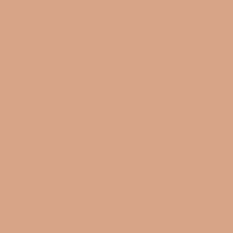 Terracotta color field, matte finish, uniform tone, neutral backdrop, consistent saturation, flat composition, no visible texture or pattern.