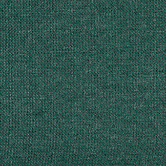 Emerald green Panama Agora fabric texture with a dense, looped weave and granular surface, identified as lapalma (a) 1318 ag.