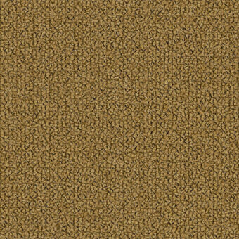 Fabric texture sample, earthy brown grain pattern, consistent granular surface with matte finish, identified as Lapalma grain 61037.