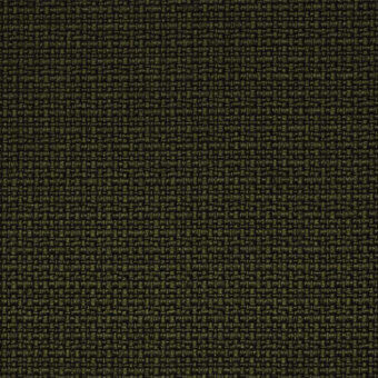 Olive green fabric sample displaying a dense, irregular weave and matte finish with a heathered, granular texture; identified as Iris 801.
