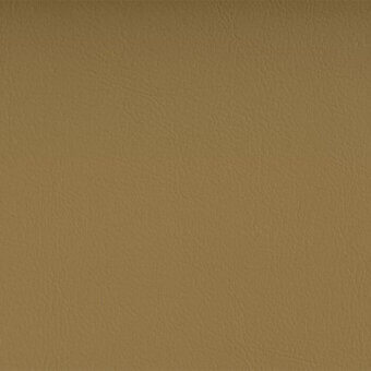 Valencia Champagne fabric texture with embossed grain, featuring subtle creases and a muted, warm tone with a matte finish.