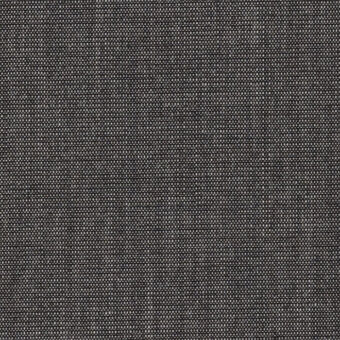 Dark gray canvas fabric texture with a dense, irregular weave and matte finish, identified as Lapalma Canvas2 154.