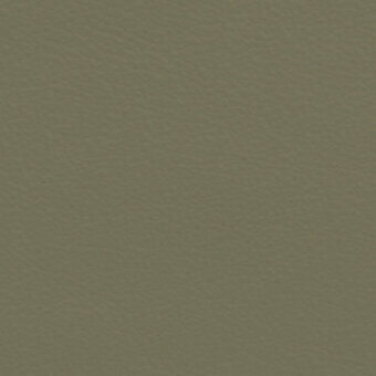 Olive-green textured surface, possibly woven fabric or embossed leather, displaying a granular quality and consistent, muted coloration.