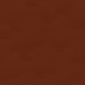 Mattone 9004 leather texture displaying a fine granular pattern, warm reddish-brown tones, and a consistent matte finish throughout the sample.