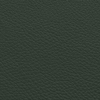 Dark olive green pebbled texture, consistent surface with small irregular bumps, muted earthy tone, suitable for upholstery applications.