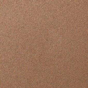 Fine texture paint sample, canyon color, granular surface with mottled reddish-brown shades and matte finish, studio shot with label detail.