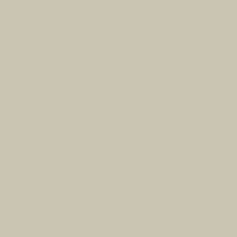 Cool gray color plane, consistent surface, subtle green undertones, diffused lighting, neutral composition, miniforms fenix grigio efeso palette.