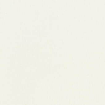 Cotton fabric swatch, ivory tone, woven grain texture, matte finish, consistent surface with subtle tonal variations, off-white background.