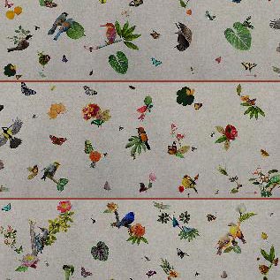 Moroso Birds fabric swatch, cream background, repeating bird & floral pattern in blue, red, yellow, gray, with distressed texture and matte finish.
