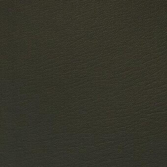 Moroso Boltaflex 17610 Spruce fabric texture, dark green mottled weave with a matte finish and dense, uniform construction.