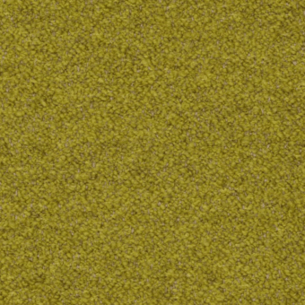 A8598 - Orsetto 05-09 lime - S