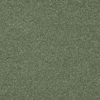 A8841 - Orsetto 02-26 green - S